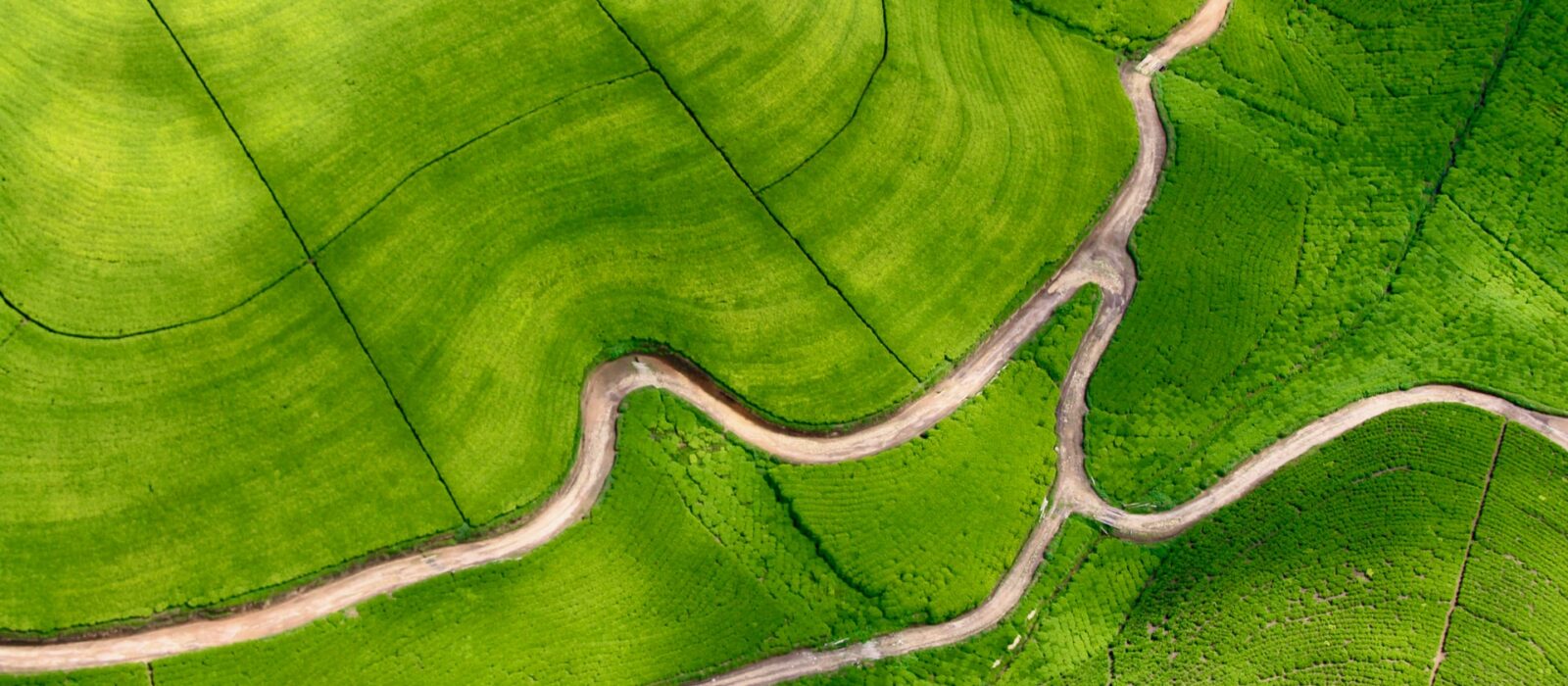 Best Rwanda Safari Companies, Tours & Travel Operators 202324