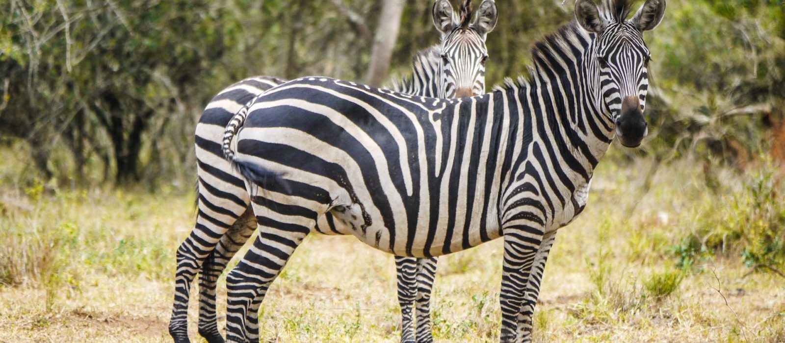 Best time to visit Lake Mburo