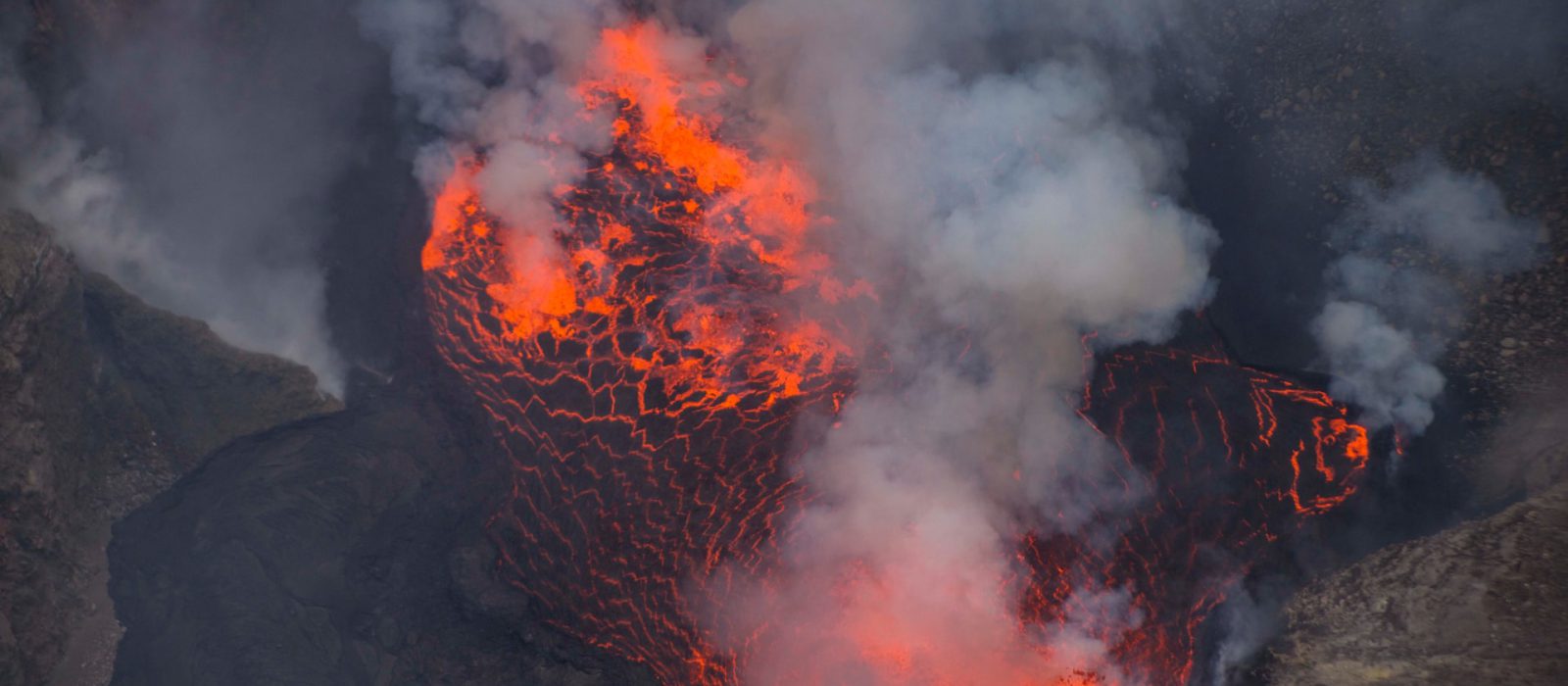 Congo Gorilla Trekking Safaris & Tours