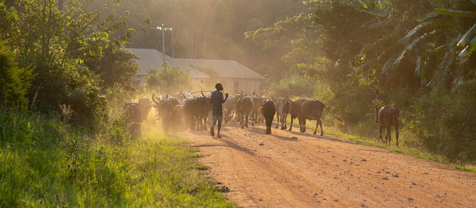 Culture in Lake Mburo
