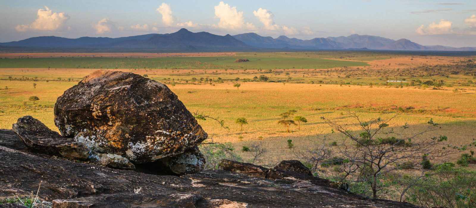 How to plan a quick and intriguing Uganda Safari