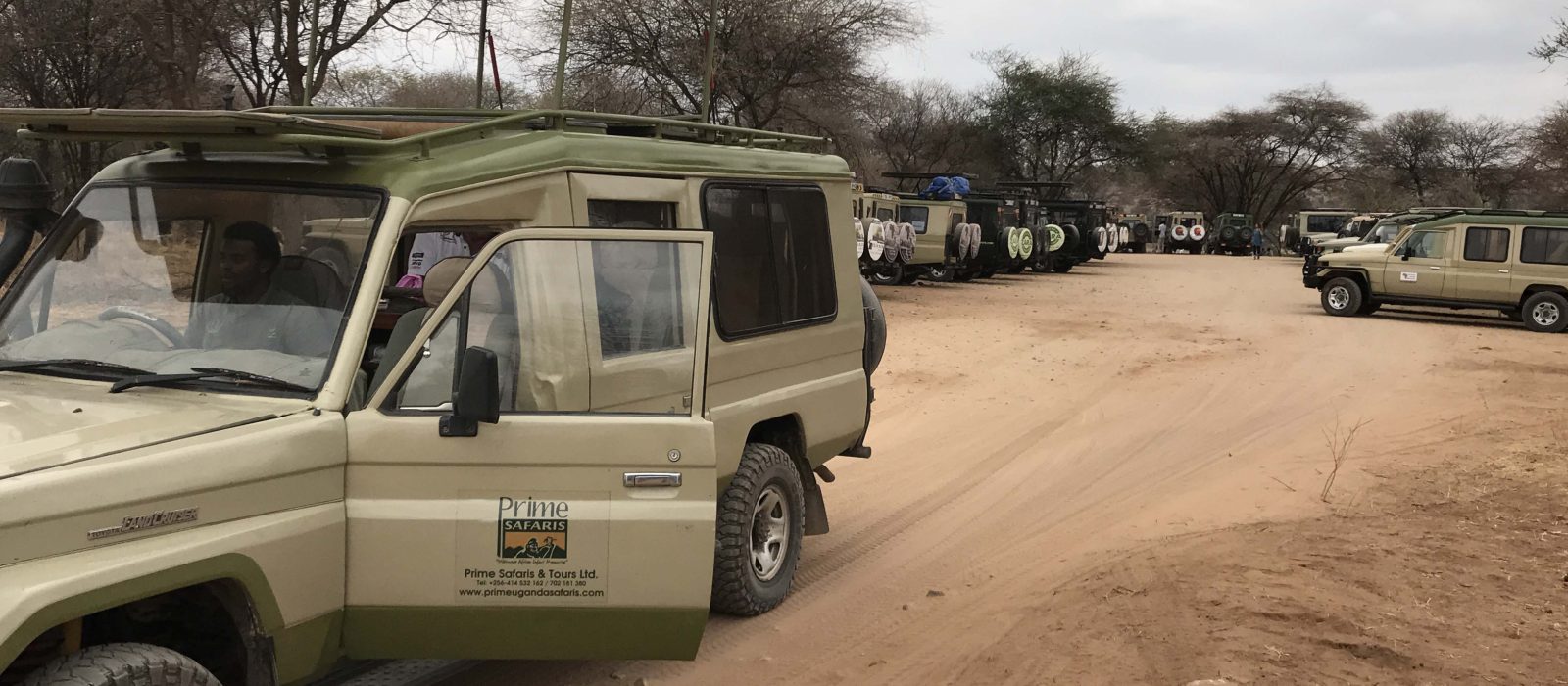 Best Uganda Safari Companies, Tours & Travel Operators 2023/24