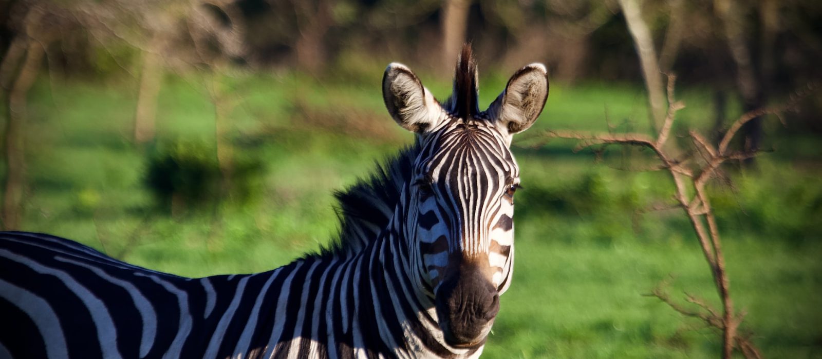 3 Days Lake Mburo Safari